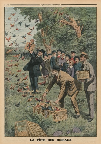 Birds